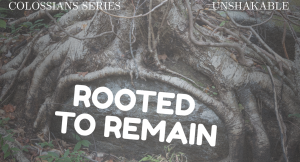 Being Rooted In Obedience