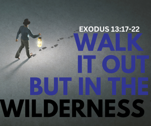 Walk It Out: But In The Wilderness (Sermon)